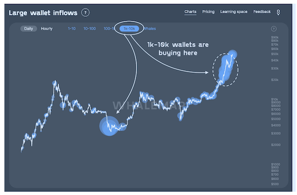 Dòng tiền của các cá voi Bitcoin (Nguồn: Whalemap)