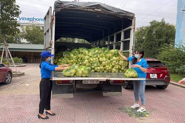 Tỉnh đoàn Hải Dương đã huy động đoàn viên, thanh niên thu hoạch và chuyển hơn 30 tấn rau