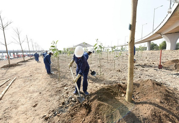 Hà Nội trở thành thành phố 4 mùa hoa nở, luôn sáng, xanh, sạch, đẹp; phấn đấu năm 2021 trồng được hơn 300.000 cây các loại.