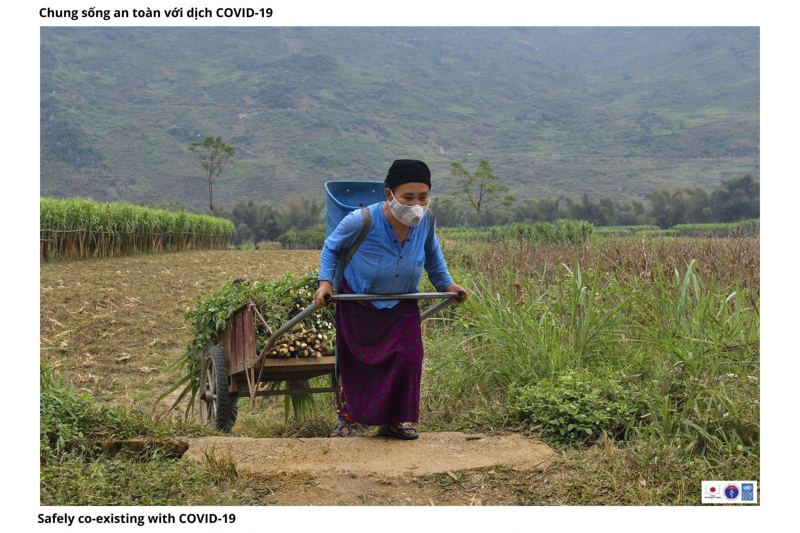 Đeo khẩu trang là một thói quen của bà con nơi đây.