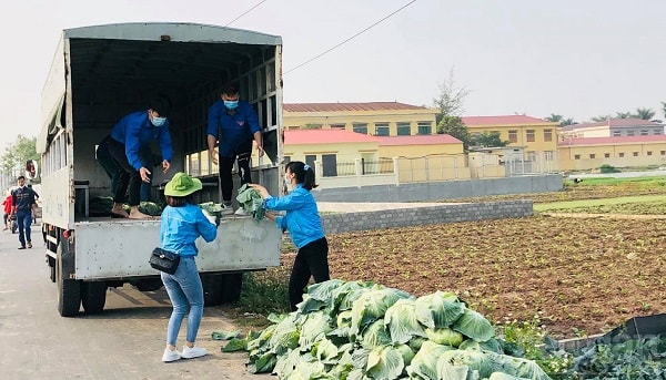 Đoàn viên thanh niên huyện Vĩnh Bảo, TP Hải Phòng hỗ trợ tiêu thụ nông sản của nông dân