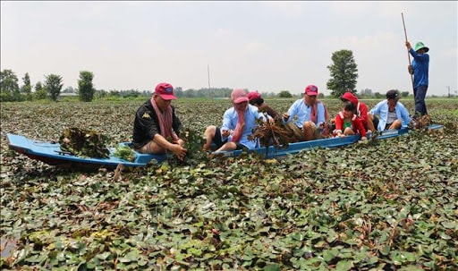 Du lịch sinh thái, hướng đi mới cho ngành 