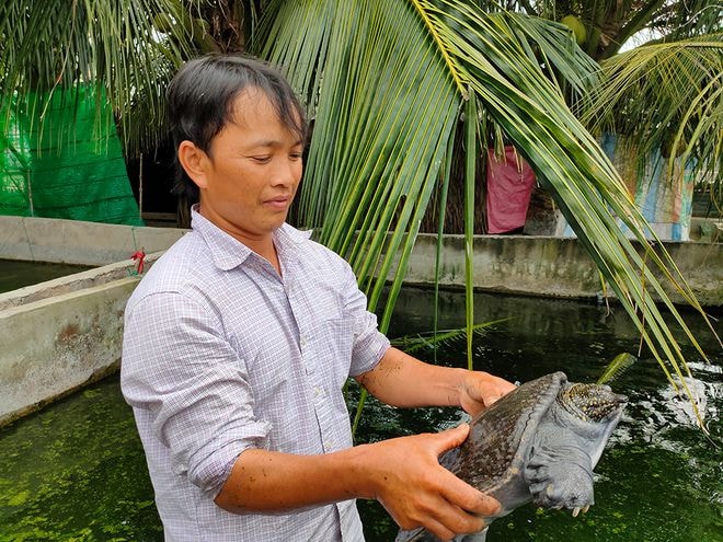 Anh Tô Văn Tân thoát nghèo, làm giàu từ mô hình nuôi cua đinh; Ảnh: Trần Thanh Phong