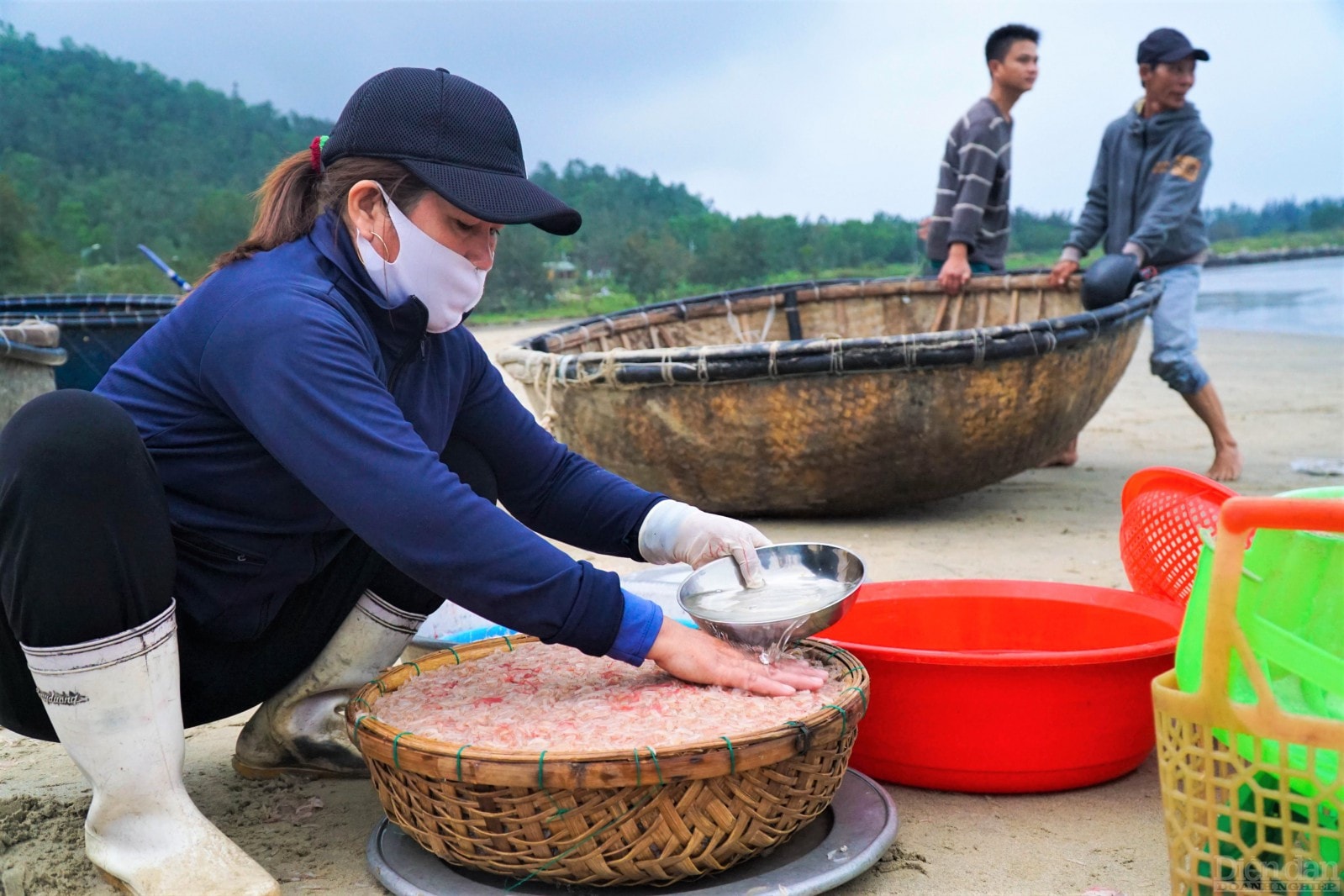 Là món ăn giàu dinh dưỡng, được xem là đặc sản của các vùng ven biển nên ruốc bán rất chạy, sẽ hết ngay sau khi được đưa lên bờ.