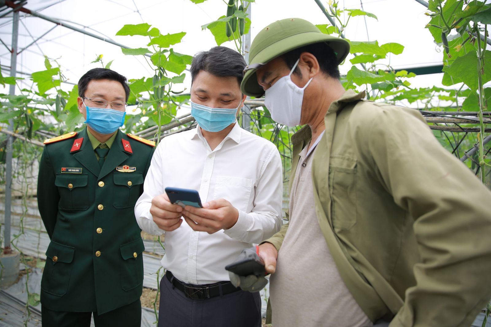 Chiều ngày 2/3/2021, trước giờ Tỉnh Hải Dương chấm dứt thực hiện giãn cách xã hội trên nhiều huyện thuộc địa bàn tỉnh, Tổng Công ty Cổ phần Bưu chính Viettel (Viettel Post) đã trực tiếp về địa phương để giải quyết bài toán nông sản của bà con nông dân và địa phương.