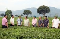 Lai Châu: Tạo cơ hội để hút đầu tư vào nông nghiệp