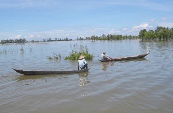 Độ mặn xâm nhập sâu ảnh hưởng đến sản xuất, sinh kế của người dân.