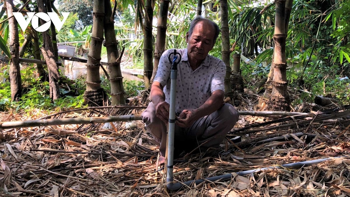 Gia đình ông Nguyễn Trung Đức đầu tư hệ thống máy tưới để thuận lợi chăm sóc măng trong mùa hạn mặn.