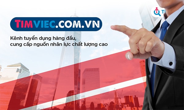 Cơ hội lớn tìm việc làm tại Hà Nội tại website Timviec.com.vn