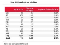 Bức tranh lợi nhuận ngân hàng: Gam màu xám từ trích lập dự phòng