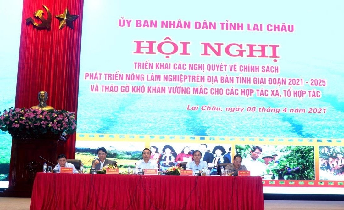 Hội nghị