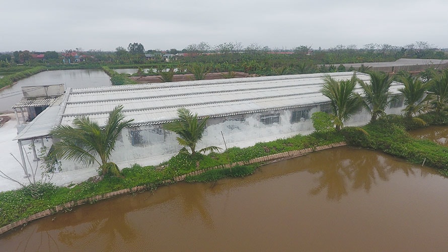 Trang trại khép kín đảm bảo an toàn dịch bệnh