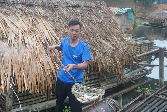 Cá chết hàng loạt khiến người dân không kịp trở tay