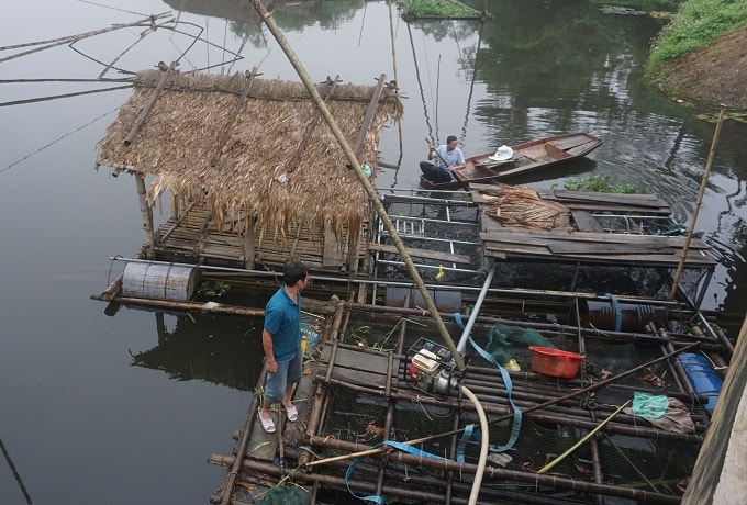 Người dân chỉ còn biết bất lực nhìn những cá lồng đã trống trơn không còn một con cá nào sống sót