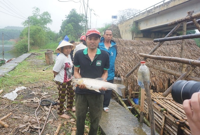 Nhiều lồng cá đã sắp đến lúc suất bán thì bị chết hàng loạt khiến người dân thiệt hại nặng nề