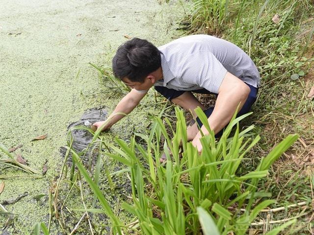 Đoàn kiểm tra