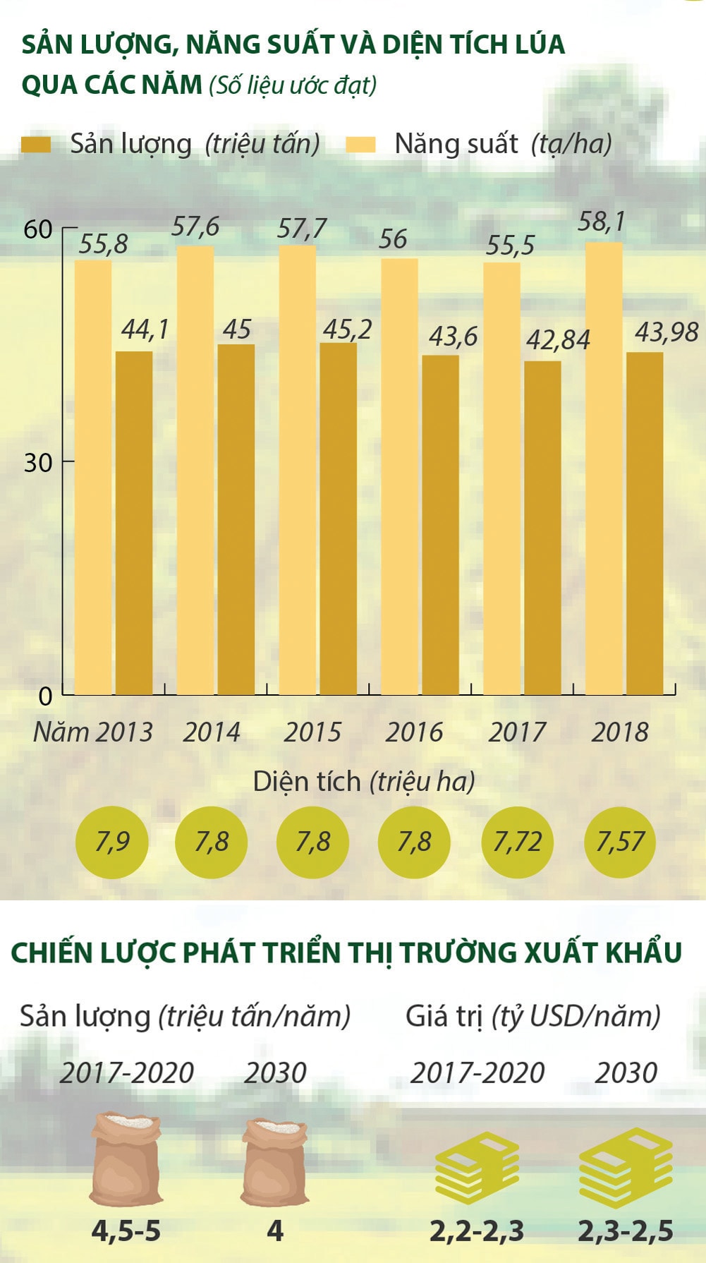  Biến động diện tích đất trồng, sản lượng lúa qua các năm. Nguồn: Tổng cục Thống kê, Bộ NN&PTNT