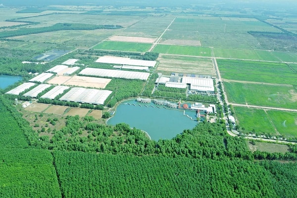 Hệ thống trang trại sinh thái Green Farm mới của Vinamilk có quy mô đàn bò hàng chục ngàn con trên diện tích rộng hàng ngàn hecta.