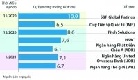 Triển vọng kinh tế Việt Nam: Cơ hội từ khủng hoảng