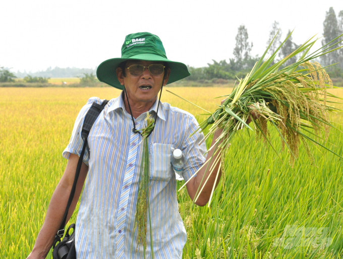 Cha đẻ' gạo ST25 vẫn âm thầm nâng tầm gạo Việt