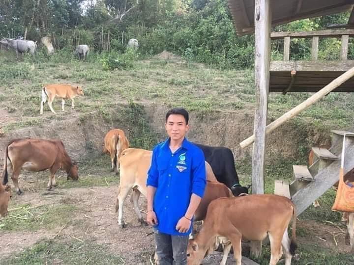 Gia trại của Sơn đã có nhiều trâu, bò, ngan, gà… thu nhập hơn 100 triệu đồng/năm
