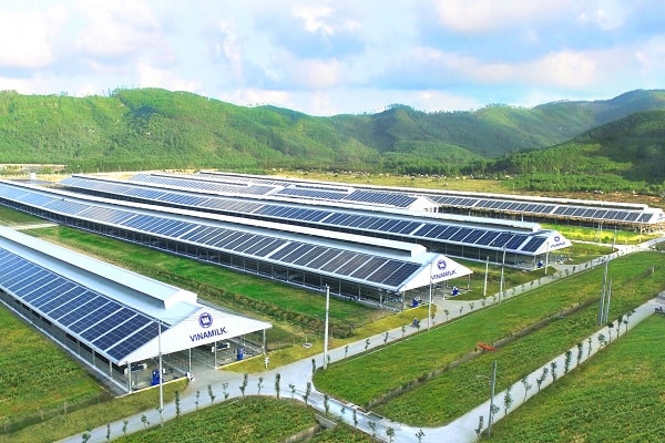 Hệ thống trang trại Vinamilk Green Farm (tại Quảng Ngãi, Tây Ninh, Thanh Hóa) sẽ được công ty đầu tư phát triển trong thời gian tới.