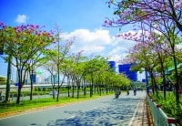 Phát triển bền vững nguồn lực đất đai