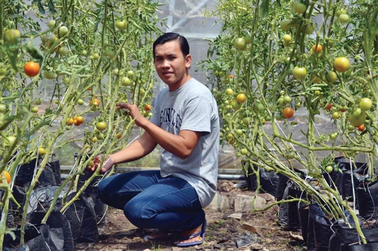  Anh Huỳnh Phú Lộc ở phường 5, tp Vĩnh Long (tỉnh Vĩnh Long) quyết tâm đầu tư khởi nghiệp thành công với mô hình nông nghiệp công nghệ cao.
