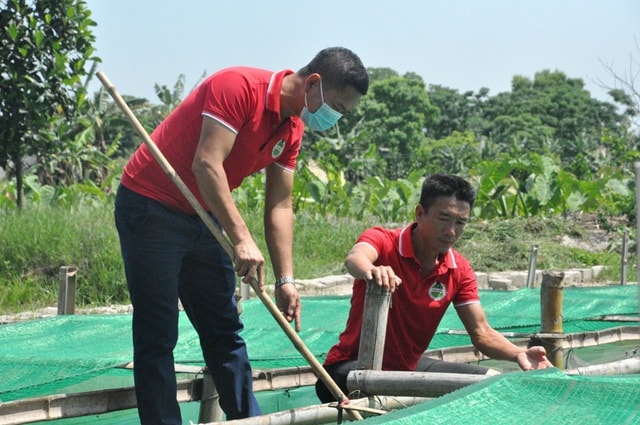 Không chỉ mang lại thu nhập cao cho mình, nhờ chuỗi liên kết cung cấp con giống và bao tiêu đầu ra cho bà con địa phương, anh đang tạo công ăn việc làm cho hàng chục lao động tại địa phương, giúp bà con có nguồn thu nhập ổn nhờ nuôi ốc nhồi.