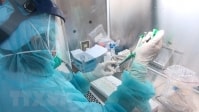 Việt Nam dồn tổng lực nghiên cứu vắcxin ngừa dịch bệnh COVID-19