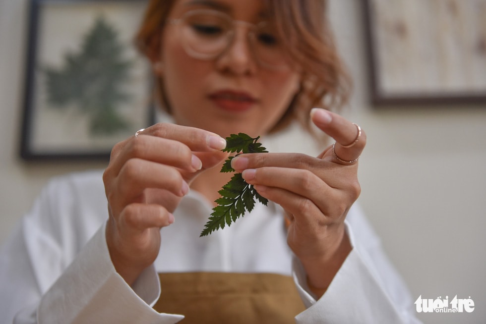 Hoa, lá tươi ép khô được chị Trinh dán keo 2 mặt trước khi đưa vào khung - Ảnh: NGỌC PHƯỢNG