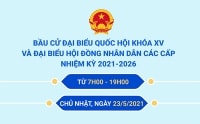 6 bước bầu cử đại biểu Quốc hội khóa XV và đại biểu HĐND các cấp