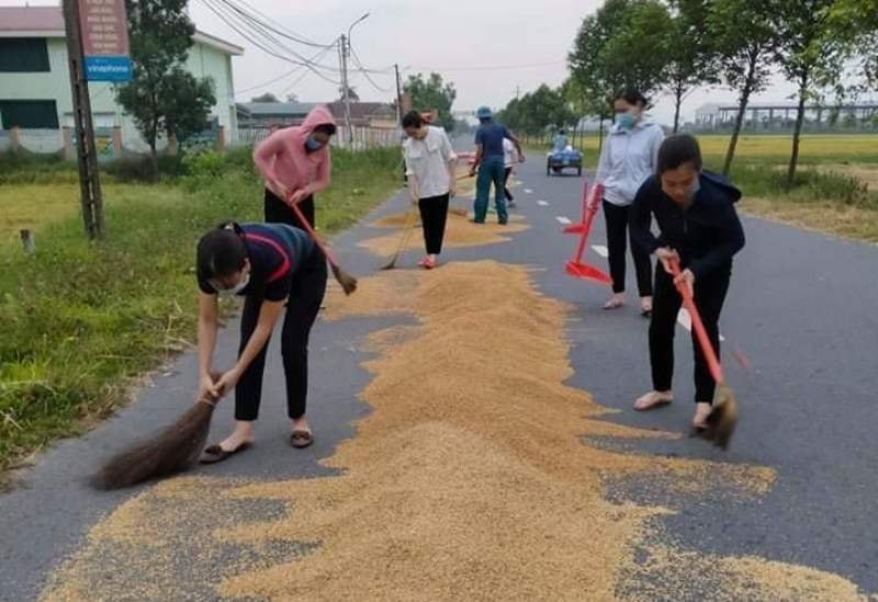 Thấy trời sắp mưa, giáo viên trường Mầm non Thạch Tân đã xắn tay dọn lúa giúp người dân