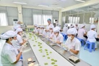 Hỗ trợ quảng bá sản phẩm bánh kẹo truyền thống