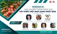 Câu chuyện thành công của vải thiều Việt Nam sang Nhật Bản