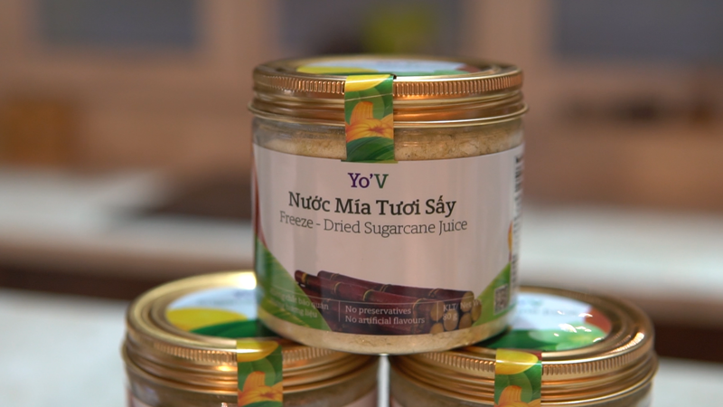 Những cánh đồng mía được trồng organic, không dùng chất kích thích hay hóa học.