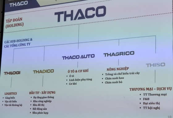 Thaco là gì sau khi xây dựng 5 sub-holdings trong các lĩnh vực ô tô & cơ khí, nông nghiệp, đầu tư xây dựng, logistics và thương mại dịch vụ