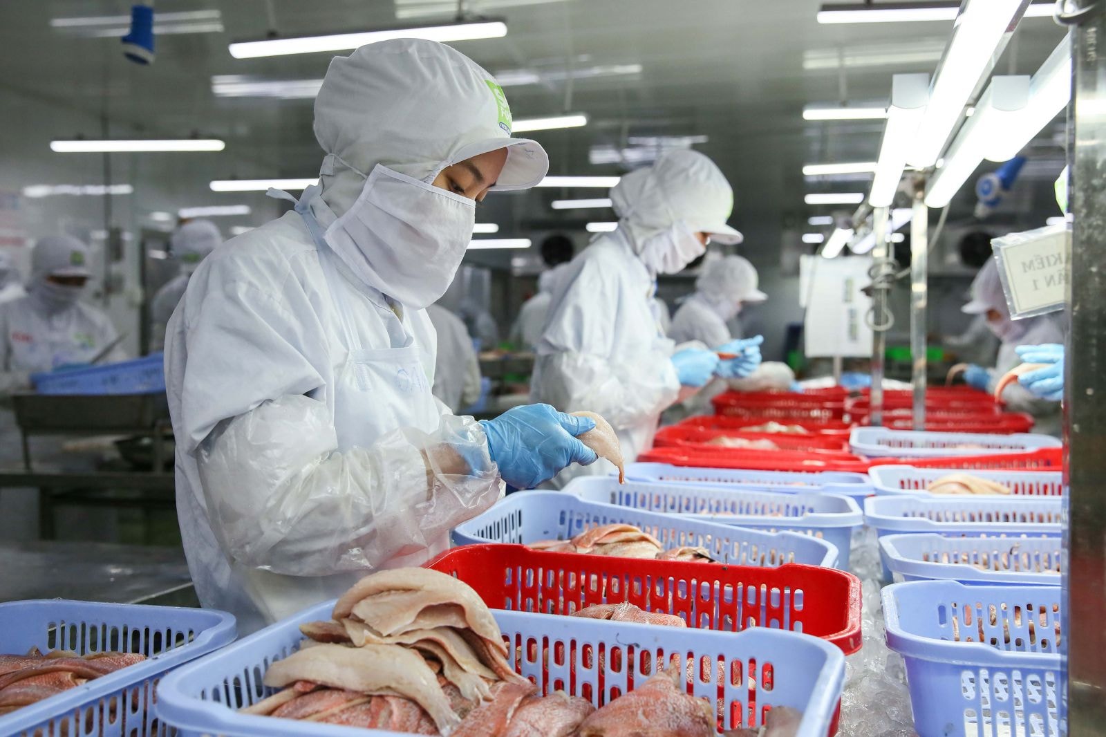 Thời điểm tạm dừng đóng vào quỹ hưu trí và tử tuất trước khi nộp hồ sơ cũng được điều chỉnh từ 