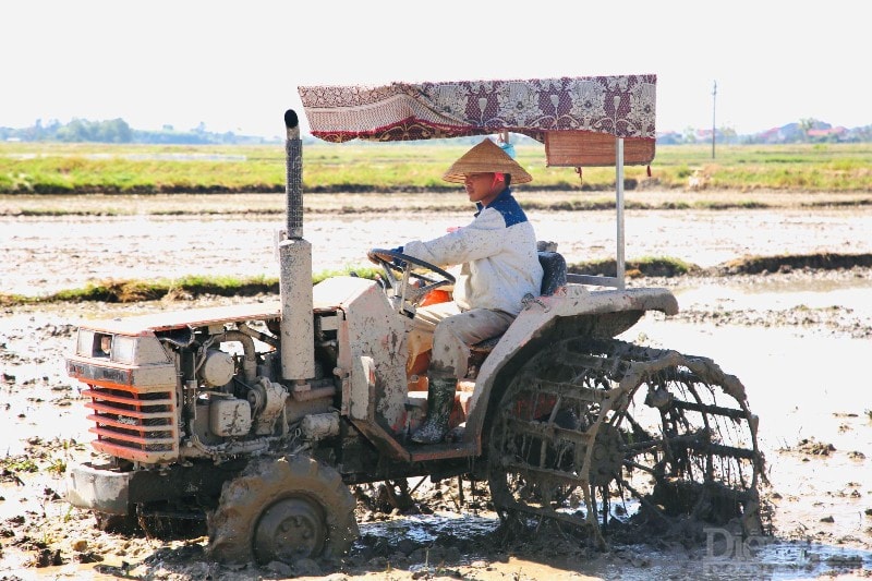 Một thợ lái máy cày dùng chăn ướt phủ làm mái che.