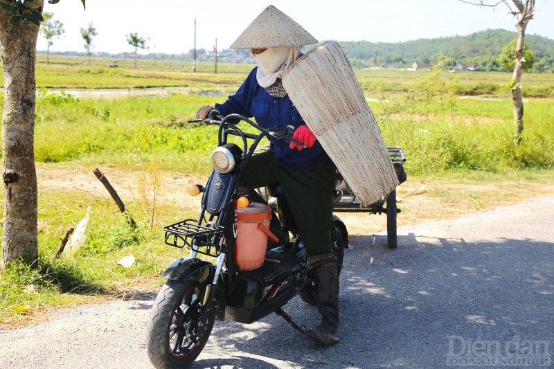 Ngoài các dụng cụ làm đồng, người dân còn trang bị thêm nước uống và áo tơi để giảm nhiệt giữa cái nắng 40 độ C.