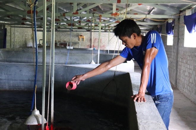 Kỹ sư nông nghiệp Nguyễn Văn Thanh tại trang trại nuôi cá chình.