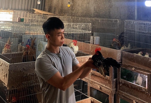 Anh Nguyễn Quang Hoàng Vũ (Lê Chân, Hải Phòng).