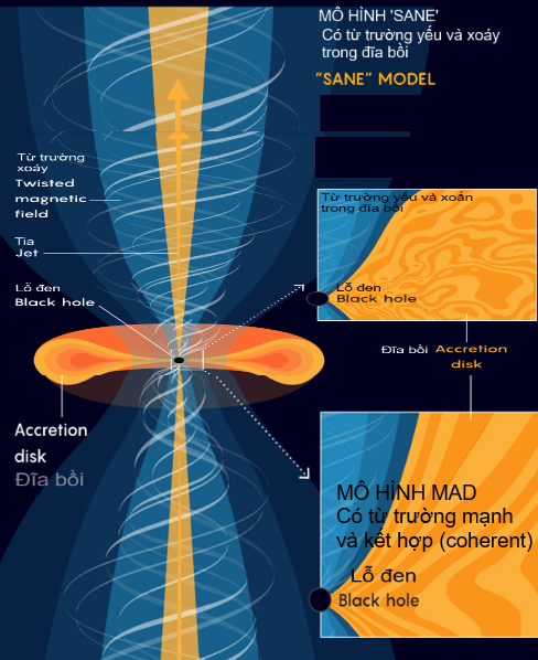Trên hình 2 ta có nội vùng lỗ đen. Một lỗ đen quay, hút vật chất và tạo nên đĩa bồi gồm các hạt mang điện tích. Điều này tạo nên những từ trường xoắn (twisted) làm gia tốc các hạt thành hai tia (jet). 
