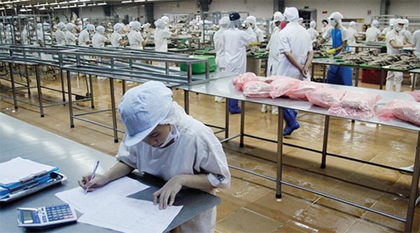 Những chính sách về thuế cần được xem xét kỹ lưỡng, đánh giá tác động toàn diện trước khi ban hành (ảnh minh họa)