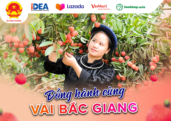 sự đồng hành của các sàn thương mại điện tử và các hệ thống siêu thị cùng Cục Thương mại điện tử và Kinh tế số (Bộ Công Thương) trong Chương trình “Chung tay ủng hộ Vải Bắc Giang” đã giúp bà con, các hợp tác xã nhanh chóng tiếp cận với các hoạt động chuyển đổi số.