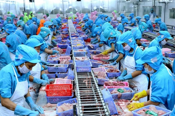 Trung Quốc tạm ngừng nhập khẩu thuỷ sản đông lạnh sẽ có tác động nhẹ đến một số công ty sản xuất thuỷ sản trong nước như VHC, ASM-IDI hay ANV