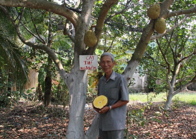Ông Trần Minh Mẫn được bình chọn là 1 trong 24 gương mặt nông dân tiêu biểu trong 30 năm đổi mới lĩnh vực nông nghiệp, nông thôn, nông dân và 5 năm chương trình “Tự hào Nông dân Việt Nam”.