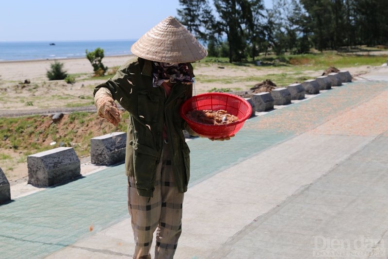 Đợt này trúng đậm nên người dân phải thuê thêm người để phơi cho kịp nắng.