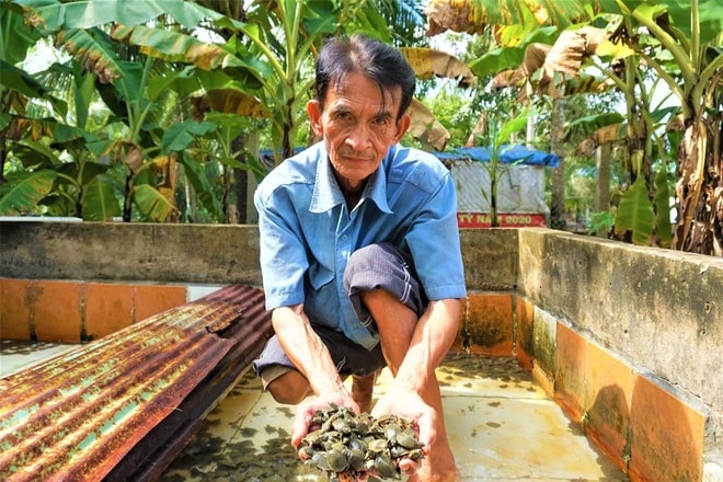 Lão nông Lương Thành Kỷ thoát nghèo nhờ nuôi ba ba trong hầm nổi.