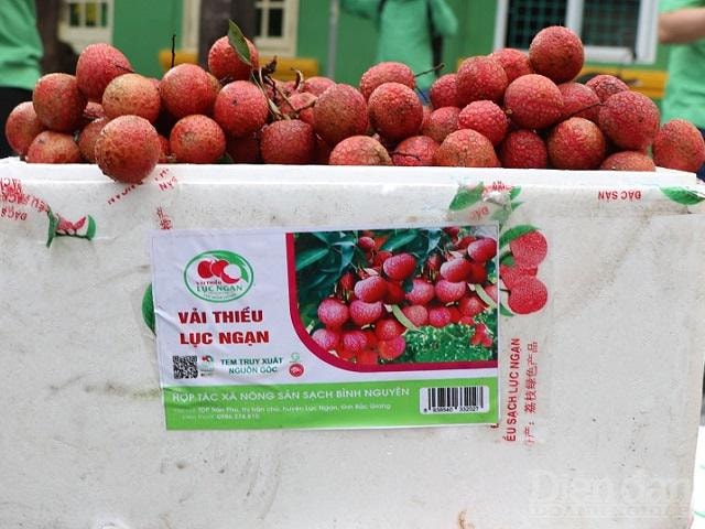 vải thiều